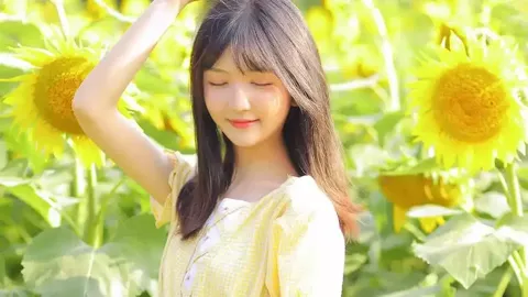 昆明晋宁升学骗局时间线