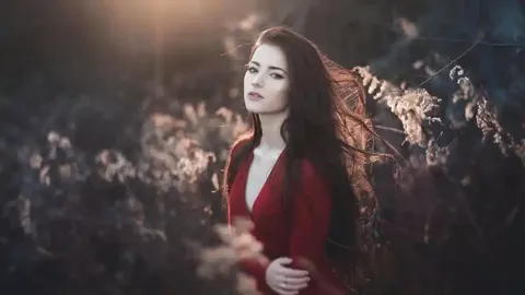 小学家长陪餐政策解读