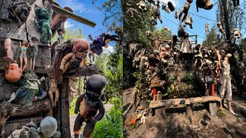 墨西哥娃娃岛恐怖传说