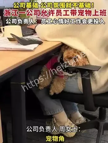 宁波公司宠物友好制度