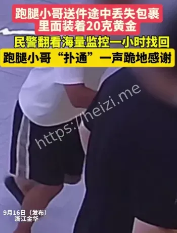 金华婺城黄金寻回