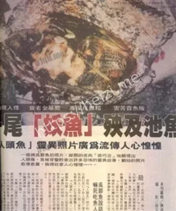 台湾人头鱼事件