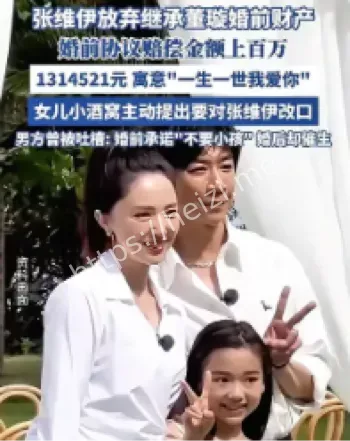 董璇张维伊婚前协议