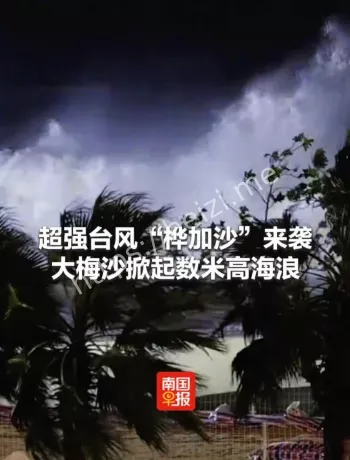 桦加沙登陆阳江海陵岛解读