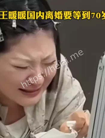 王暖暖离婚案时间线