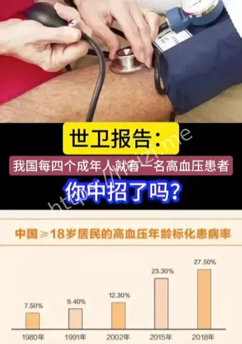 成人高血压流行率